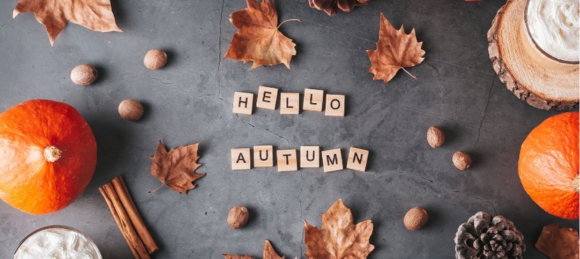 Autumn Haircare Routine: Expert Advice for Growing, Strengthening, and Protecting Your Hair - Lava Cap